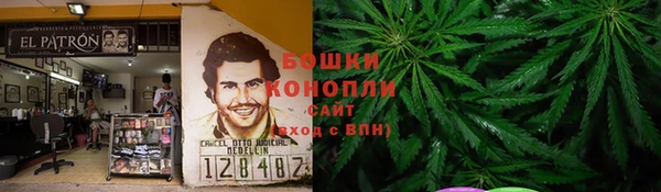 хмурый Осинники