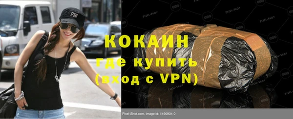 хмурый Осинники