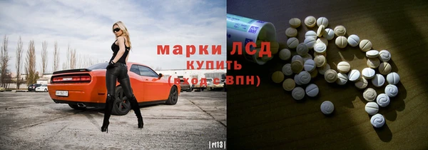хмурый Осинники