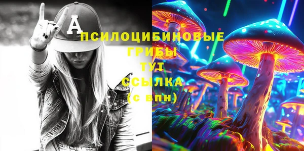 хмурый Нягань