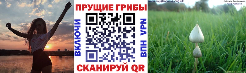 Галлюциногенные грибы мицелий  Рыльск 